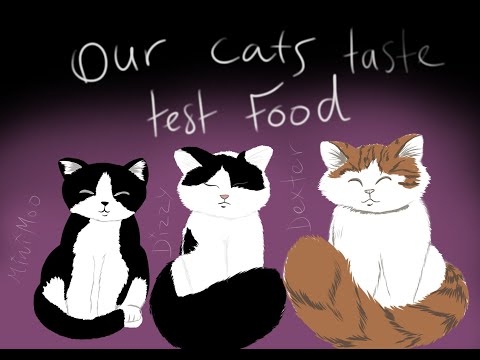 republic of cats : our cats review the food