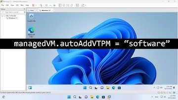 how to install Windows 11 on VMware with local account