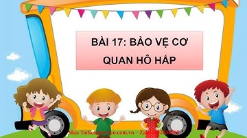Giáo án powerpoint CĐ5 Bài 17: Bảo vệ cơ quan hô hấp | GA điện tử Tự nhiên xã hội 2 Cánh diều
