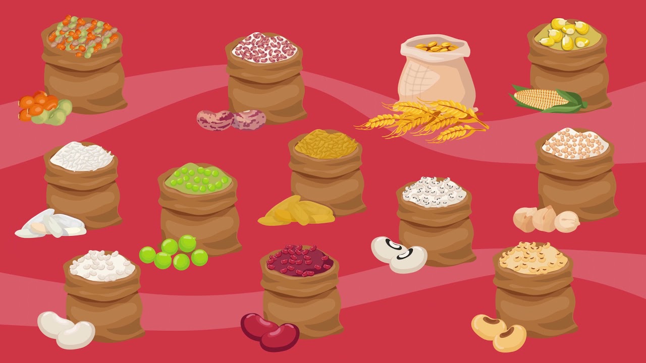 Yemekleri Öğrenelim ! (Atıştırmalık, Sebze, Meyve, Bakliyat) | Çocuklar İçin Eğitici Video