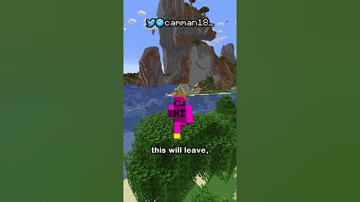 you're not using the invisibility potion right.