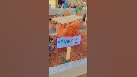 Integrated farming system, model on integrated farming. #agriculture.
