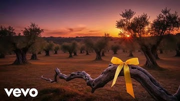 BarDA© - Bring Them Home (Official Music Video)