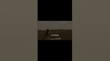 سورة مريم| محمد صديق المنشاوي