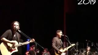 Celebrity Hanson - String Theory - Cirque Royal 2019 Wealth