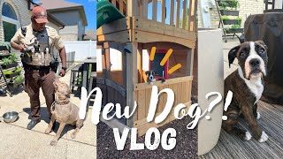 Mom's New Dog! (a few days in my life) | VLOG