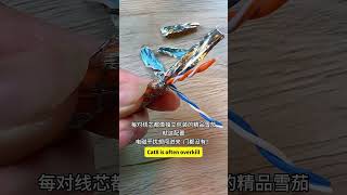 Is Cat7 Enough?