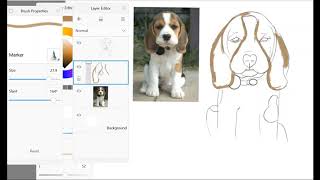 How to draw a dog on Auto Desk Sketchbook (Beagle puppy) screenshot 5