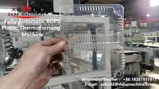 Famous DB-5162 BOPS Plastic Thermoforming Machine | Fully Automatic Wealth