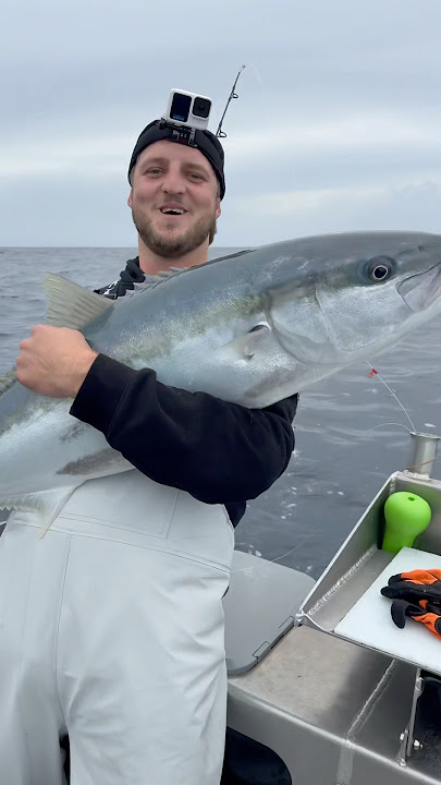 Mental! This trip was MENTAL! Full strike mission out now on @_aclassic_ -