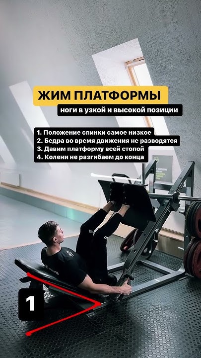Передняя и задняя поверхность бедра с акцентом на заднюю #спорт #фитнес ...