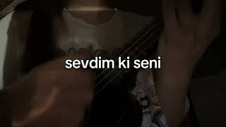 Tum Bir Yasam Ukulele Cover