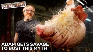 Is It Worse To Be Hit Over The Head With A Full Or Empty Bottle | MythBusters