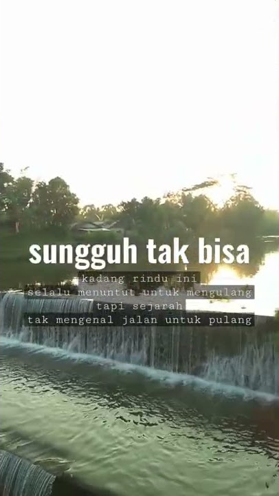 STORY WA TUKANG OJEK: PADI - SEMUA TAK SAMA