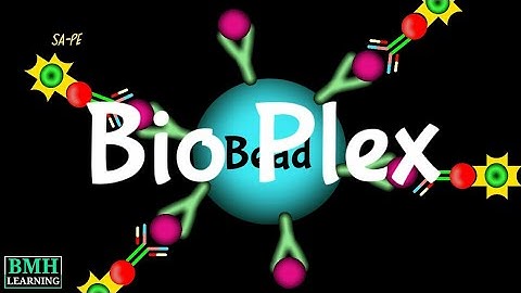 Bio Plex Assay | Bio Plex Technology | Magnetic Bead-Based Assays | Multiplex Assay |
