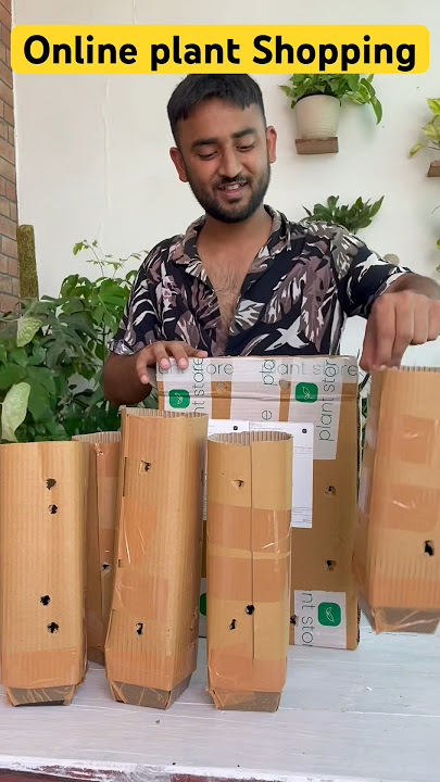 Online पौधों की Shopping 🛍️ #gardeningwithnanav #plantshopping #onlineplants