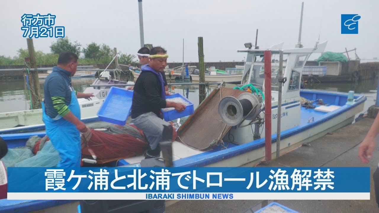 トロール漁解禁 「霞ケ浦のダイヤモンド」シラウオ水揚げ - YouTube