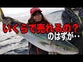 ブリを捌いたら記録級の寄生虫が！！！！