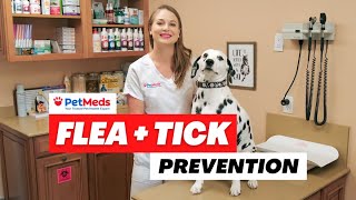 PetMeds - Flea & Tick Prevention with Dr. Lindsay Butzer