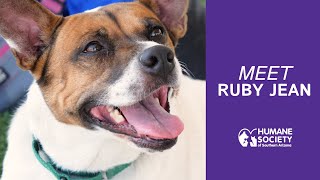 Meet Ruby Jean (TO903556)