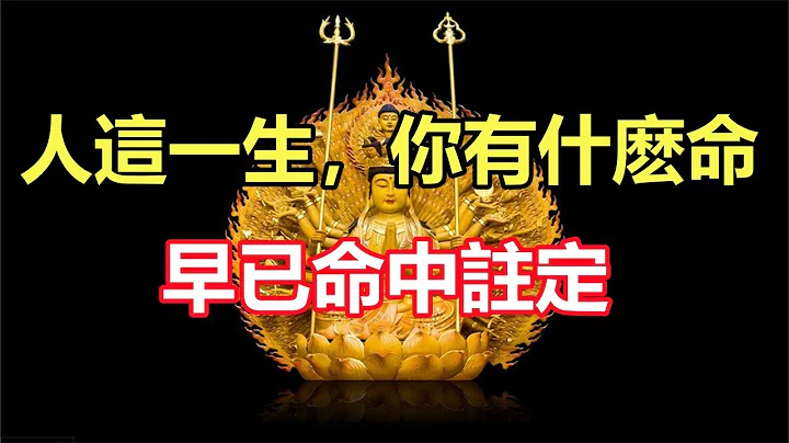 禪意合集：人這一生，你有什麽命，早已命中註定 - 天天要聞