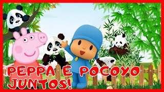 🐷PEPPA E POCOYO🧢 VÃO AO ZOOLÓGICO- Peppa E Pocoyo Juntos Em Aventura Inédita-Historinha Infantil📚