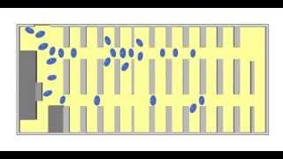 FDS+Evac Evacuation modelling for a classroom scenario Net Worth