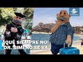 Dr simi no se retira slo se va de vacaciones