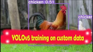 YOLOv5 training with custom data