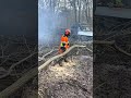 Some kids play computer games, my kid plays with his Stihl MS182 Chainsaw👌 @ForestryKid