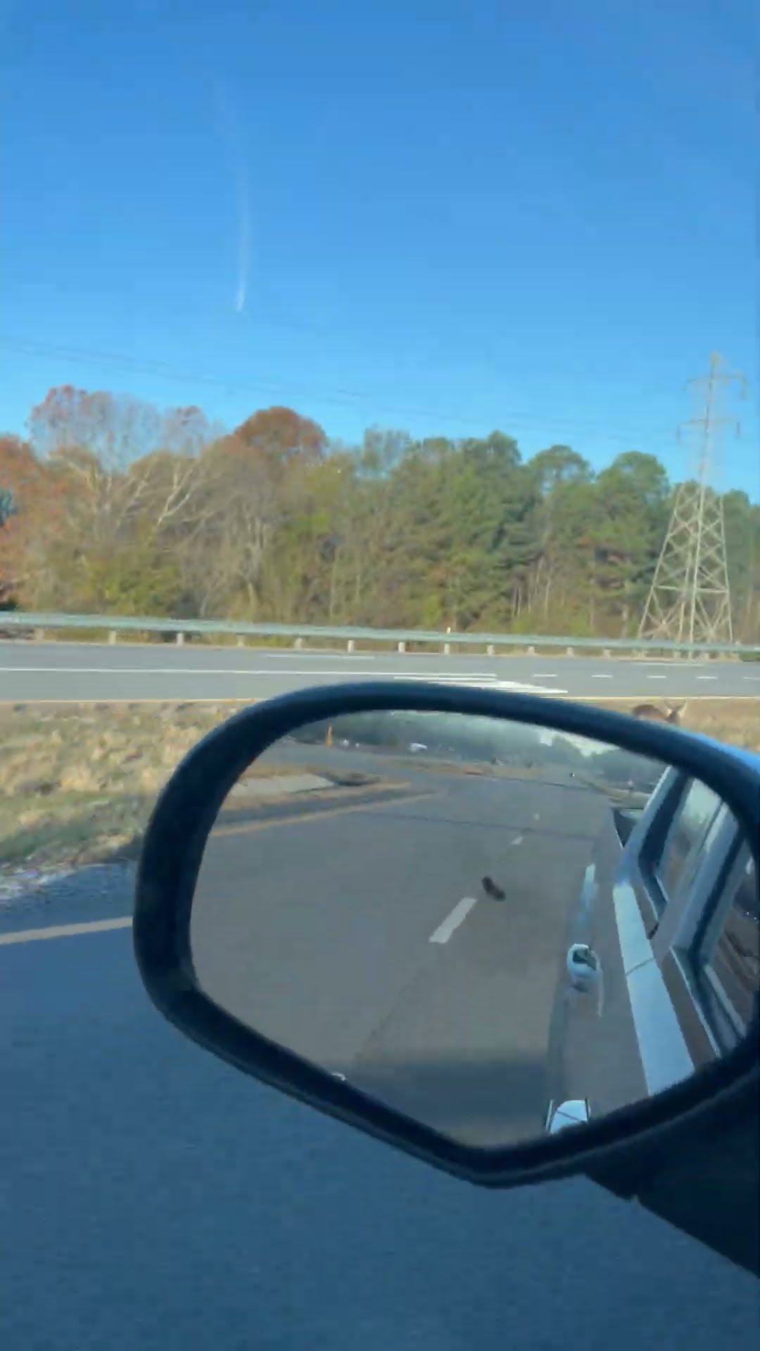 Deer Spotted Running on Highway || ViralHog