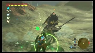 First Successful TCR In BOTW!