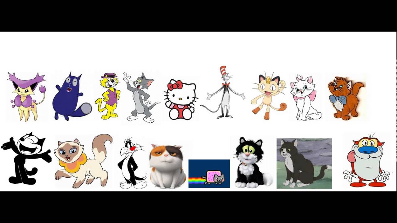 Which one of these cats are better? - YouTube