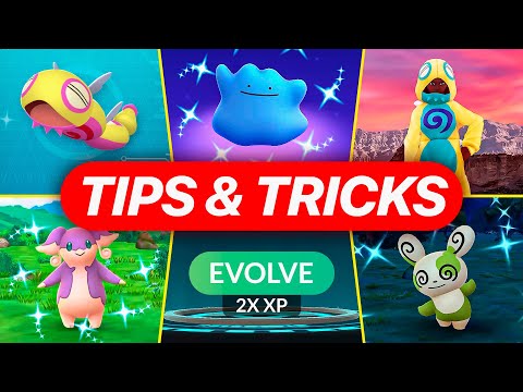 The SHINY DITTO Event Tips