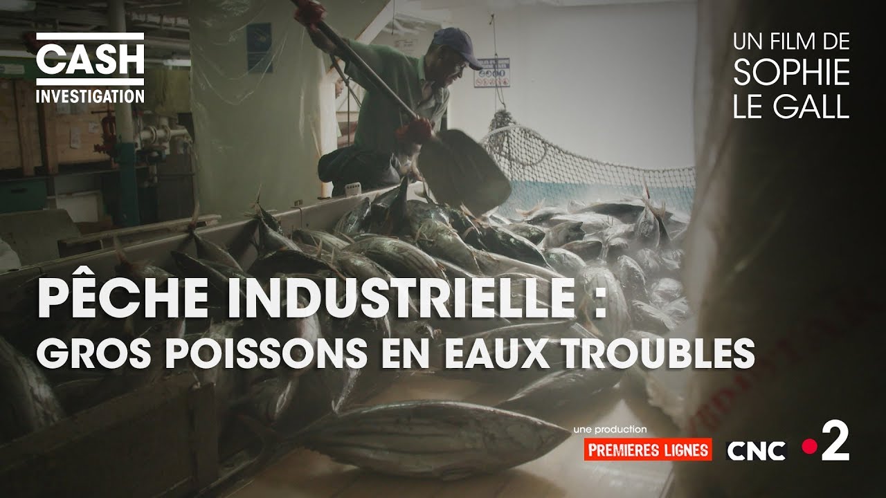 Cash investigation - Pêche industrielle : gros poissons en eaux troubles (intégrale)