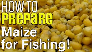 How To Prepare Maize For Fishing