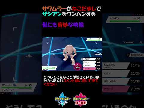 サワムラー Youtube