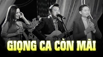 Chí Tài, Phi Nhung, Quý Bình - Các Giọng Ca Còn Mãi Trong Lòng Người Hâm Mộ