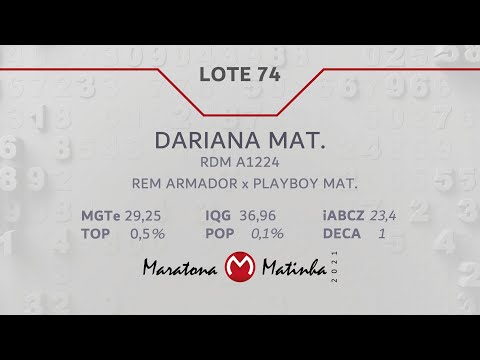 LOTE 74 Maratona Matinha