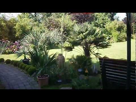 rundgang-durch-meinen-exotengarten