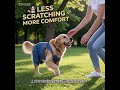 Why Is Your Dog Always Scratching? | Natural Flea & Tick Protection That Works