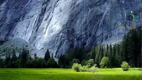 قراء المدينة  تلاوة للشيخ محمود خليل