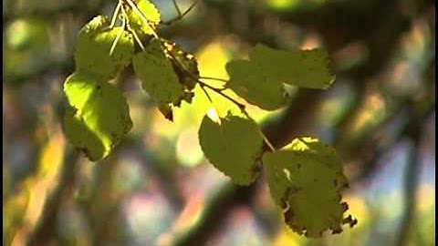 The Nature Of Sleep Introduction