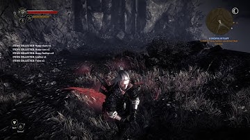 The Witcher 2 Assassin