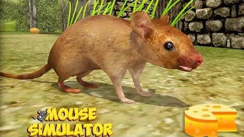Mouse Simulator - Forest Life #3 - Android Gameplay HD