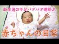 【新生児】赤ちゃんの日常＊手足バタバタ運動【生後２０日目】　Baby's daily life.Flapping movement of limbs