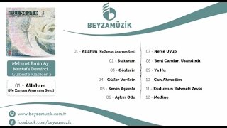 Mehmet Emin Ay - Mustafa Demirci - Aşkın Oldu Resimi