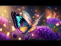Frequency Healing Music | 528Hz Love Meditation | Positive Energy Cleanse | Soothing Relaxing Sound