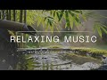 🌿 Relax Your Brain Instantly – Clear Water Sounds for Deep Sleep