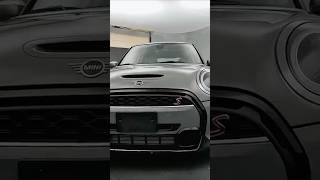 MINI Cooper S — French Bulldog Energy